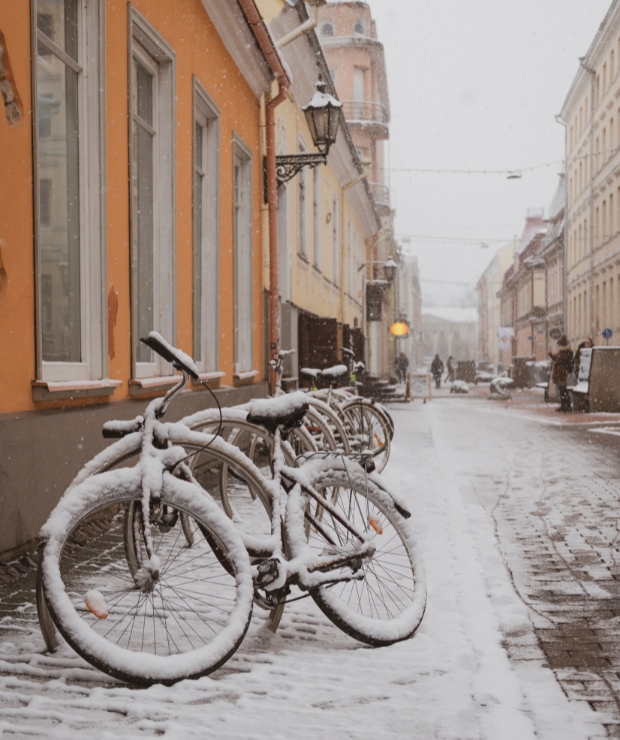 Fresh snow in Tartu, Estonia